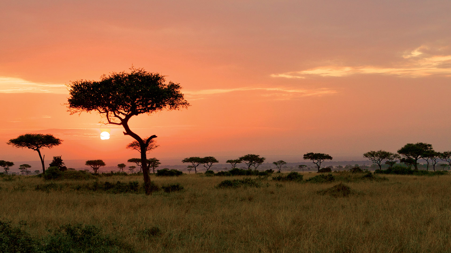 Africa-Tanzania-Serengeti-Safari-Tour