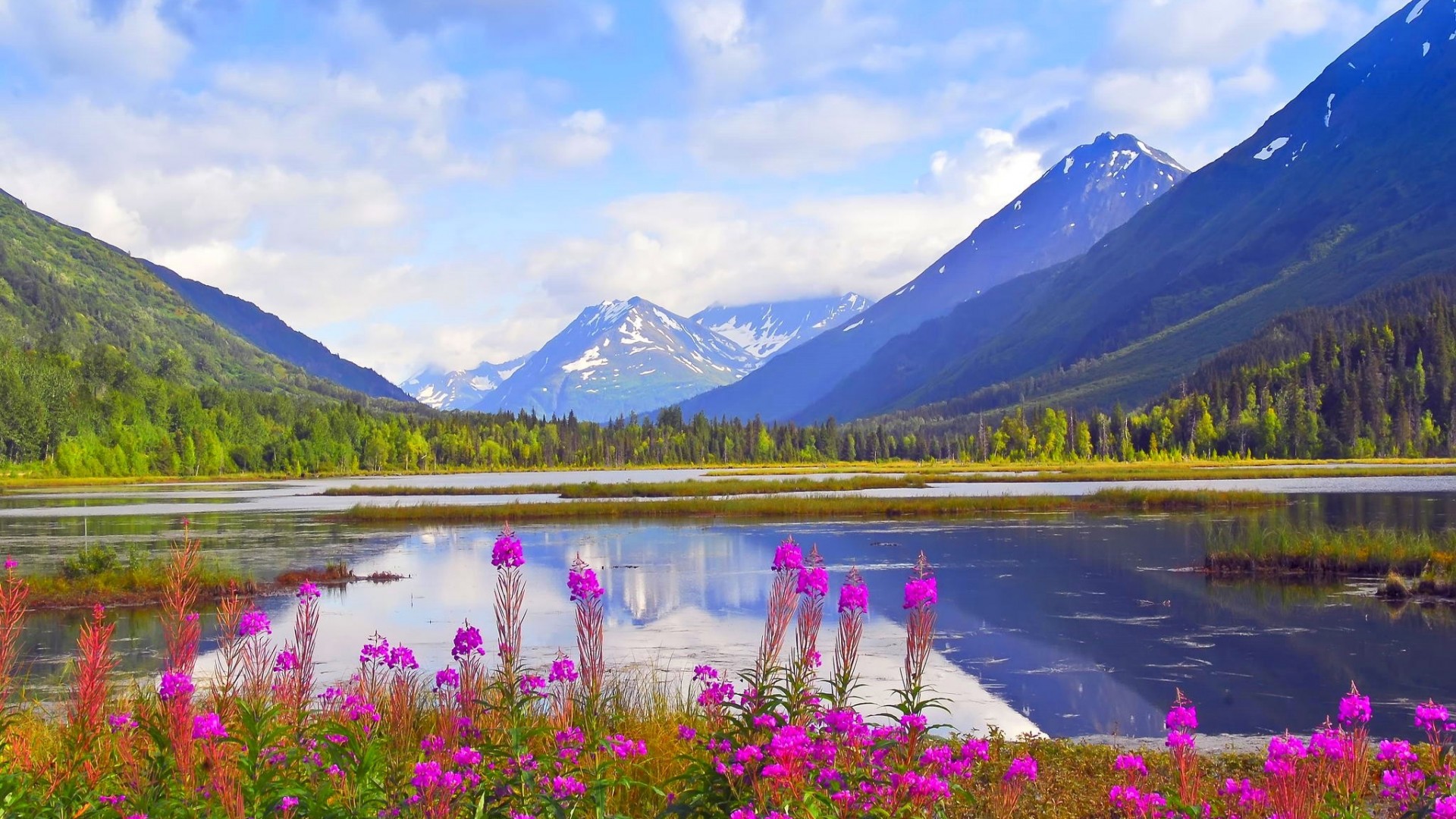 Alaska-Kenai-Explorer-Ecotour