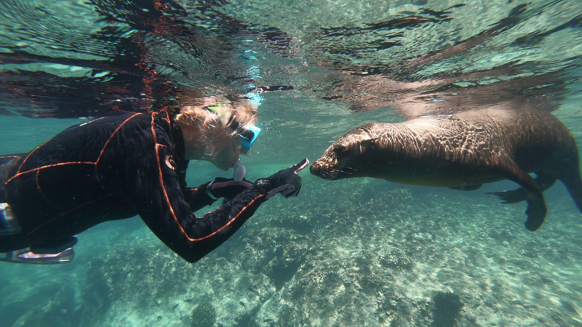 Florida-Manatees-Eco-Tour-Snorkeling