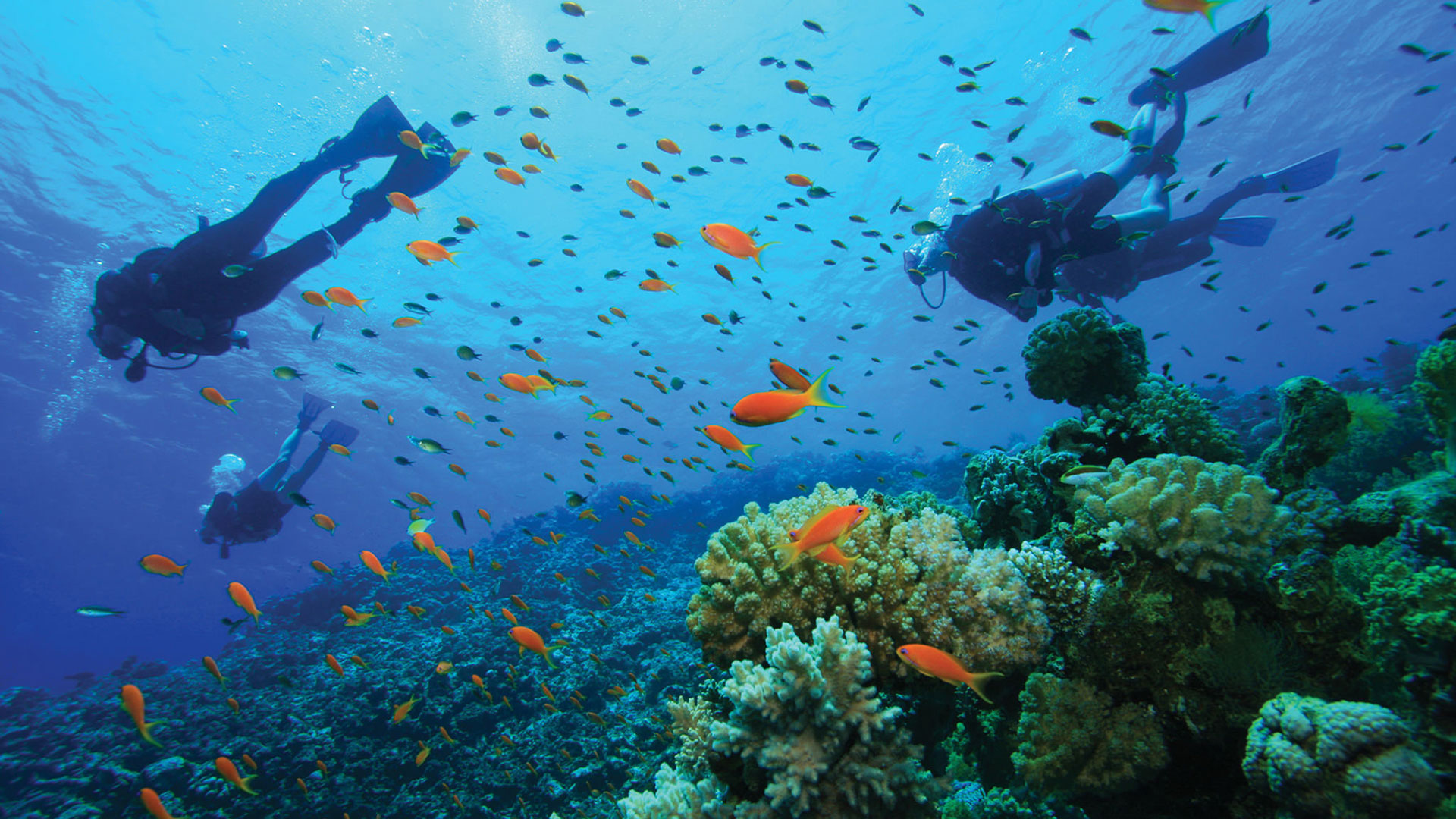 honduras-roatan-diving-adventure-women